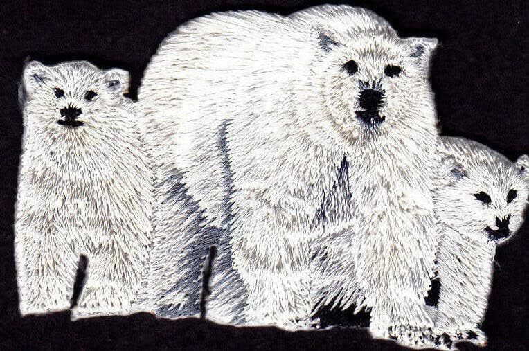דוב קוטב ברזל משפחתי על טלאי בעלי חיים דוב גן גן חיות ארקטי